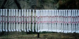 Induction - Fall 2025 @ Firestone Scout Reservation | Monrovia | California | United States